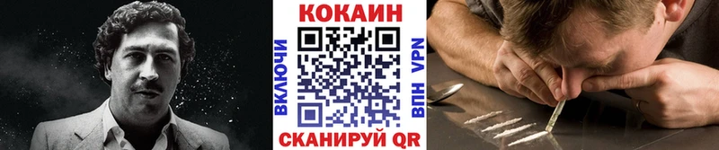 Купить закладки  Камышлов  COCAIN VHQ 
