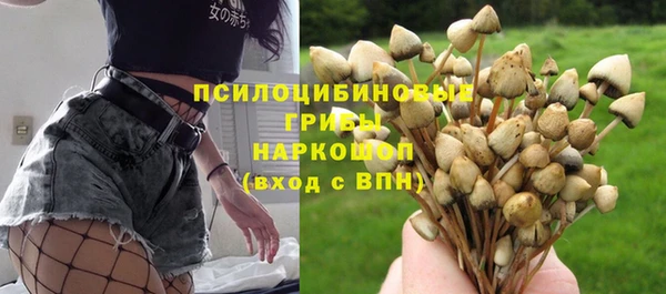 гидропоника Богородицк