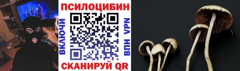 Купить  Камышлов  Галлюциногенные грибы прущие грибы 